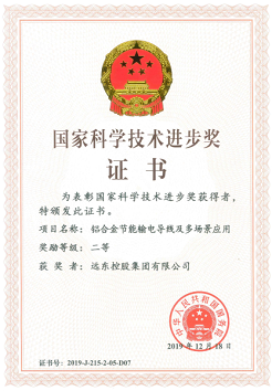 國家科學(xué)技術(shù)進(jìn)步獎(jiǎng)二等獎(jiǎng)